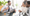 Consulting for Success in NY Insurance